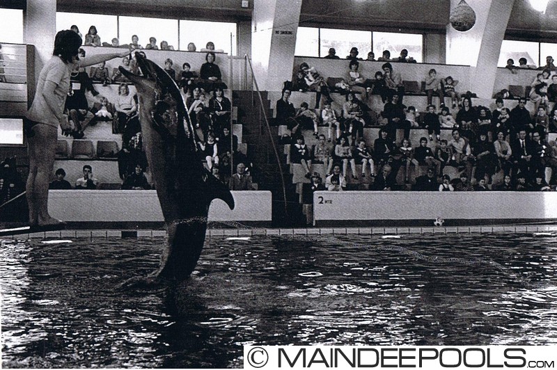 Maindee Pools Dolphin Show 1984